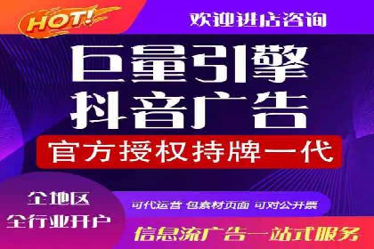 信息流广告代理案例对比分析